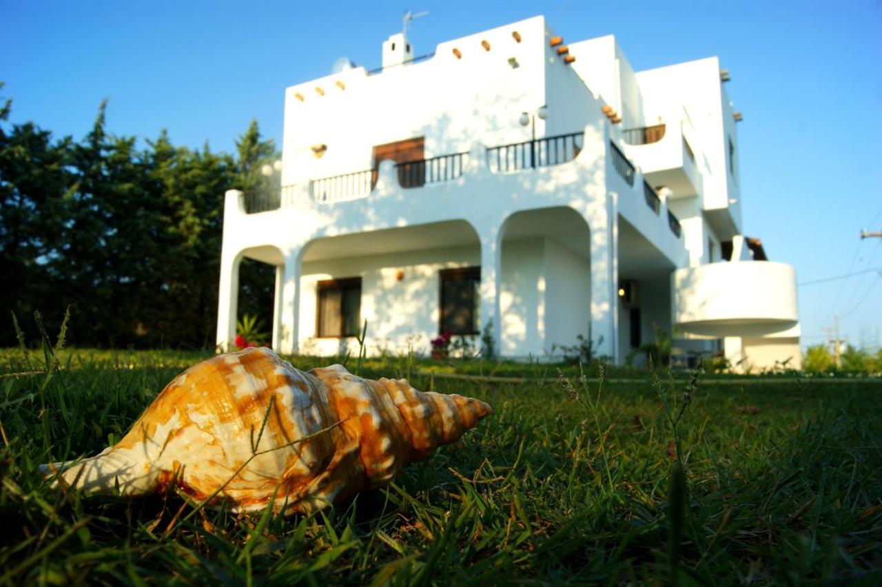 Simplicity At Iris Accommodation プサコウディア エクステリア 写真