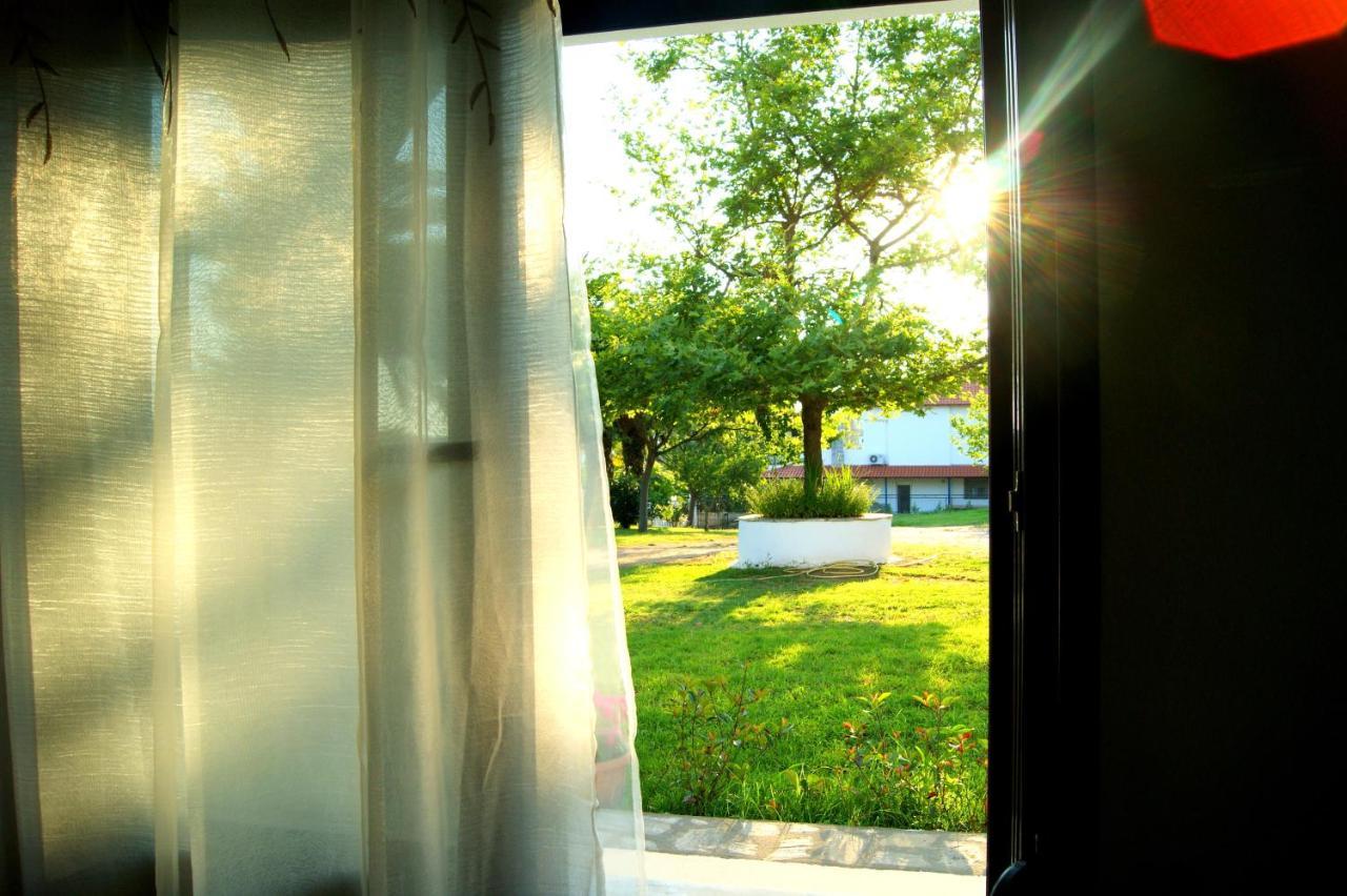 Simplicity At Iris Accommodation プサコウディア エクステリア 写真